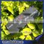 Slate waterproof decorative garden label /plant marker /plant tags