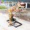 High simulation silicon rubber artificial dinosaur