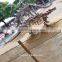 High quality dinosaur skeleton replica for museum