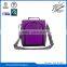 insulated cooler bag for frozen food4355#