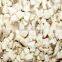 Supply Freeze Dried fruits - FD Mushroom slice with good quality