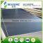 promotion product with amazing quality film faced plywood for construction