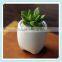 ceramic small tooth flower pot with tooth shape planter