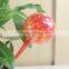2016 hot sell glass plant self-watering flower pot