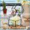 Hot sale indoor plant glass terrarium clear glass geometrical hanging terrarium-plant holder glass terrarium