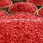 Ningxia Organic Sun Dried Goji Berries