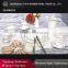 Fine New Bone China,Royal Bone China Dinner Set ,Grace Dinnerware Set