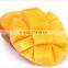 Alphonso Mango Pulp from india