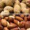 Indian Long Shape Peanuts / Peanut Kernel Bold 50-60 COUNT