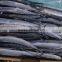 Chinese Saury Factory Supplier