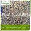 wholesale  IQF frozen black fungus slice