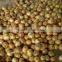 Golden Supplier China Wholesale Onion With Low Price