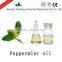China pure natural peppermint oil with high quality from manufacturer