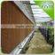 Hot Sale Greenhouse Wet Pad for Cooling System