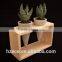 Concrete mini planters in wooden frame