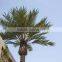 Newest design top quality artificial palm tree leaves
