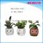 Indoor decorative concrete flower pot for sale