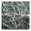 polished common iron wood nails