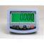 weighing indicator