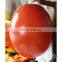 inflatable egg buoy with customized logos for swim event