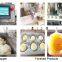 Good quality mochi Ice Cream  cake encrusting machine factory