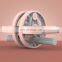 2021 Home Gym Equipment Fitness Body Building Exercise Multifuntion Abdominal Whee Double Ab Wheel Roller