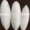 bulk high quality cuttlebone cuttle fish bone cuttlefish bone for birds