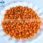 BRC Certified IQF Berries Fruit Frozen Sea Buckthorn