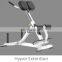 Roman Chair exercise gym machine