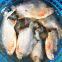 Seafood wholesale frozen fish Red Pomfret
