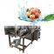 Mushroom Washer Calamansi Vegetable Cleaning Machine Bubble fruit vegetable washing machine