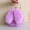 010Plush Bag Female Oblique Fashion Crossbody Shoulder Bag Lovely Chain Women Handbag Autumn Winter Rabbit Ear Clip Mouth Bag