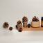 Solid Wood Natural Pine Cone Diffuser