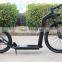 electric kickbike dog scooter foot scooter kick bike for adult (LDH-14R)                        
                                                Quality Choice