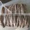 Precooked Pacific mackerel lion and Scomber Japonicus