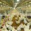 Poultry shed equipment