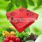 indoor greenhouse cob 300w lampade grow