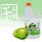 Wholesale Bubble Tea Green Apple Flavored Fruit Concentrates Syrups