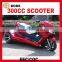 2015 EEC 250CC ATV with CVT (MC-393)