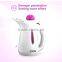 Steam Sale Handheld Clothes Steamer Garment Steamer