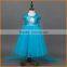 2016 new cotton skirt frozen snow queen Aisha glitter princess dress children birthday suit