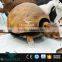 OA2071 Museum Life Size Artificial Animatronic Animal
