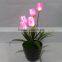 wedding table centerpieces restaurant decoration artificial tulip lighting bonsai flowers with factory price