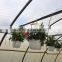 professional factory greenhouse pe plastic film