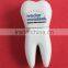 Mini tooth shape usb for handheld dentist, gift flash drive usb tooth, Custom shaped 8gb flash tooth usb drive