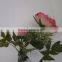 China factory Hot sale artificial flower real touch peony
