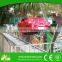 Small Park Games For Children Indoor Kids Flying Car with Track Amusement Rides For Sale