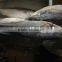 frozen giant yellow tail fish 5kg up