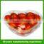 plastic heart shape container
