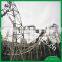 Amusement park roller coaster sold on the cheap